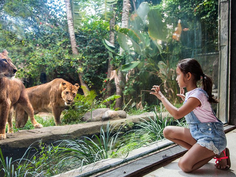 Bali Zoo <small>[2024]</small>
