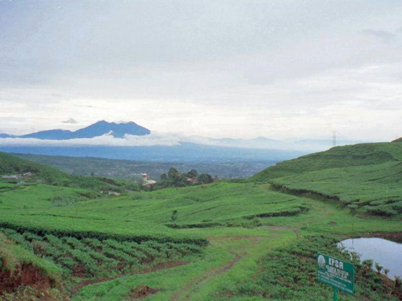 Bogor & Puncak <small>[2024]</small>