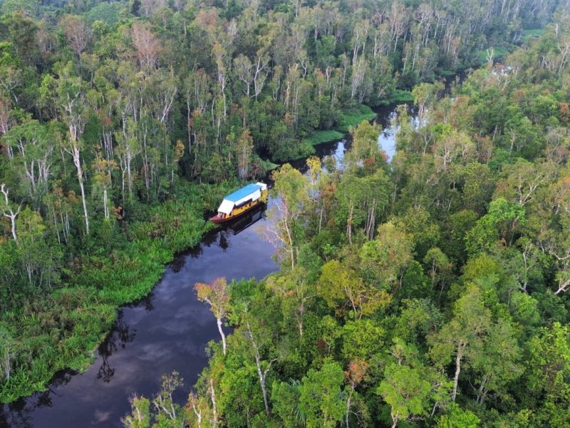 4D Borneo Klotok Tour <small>[2024]</small>